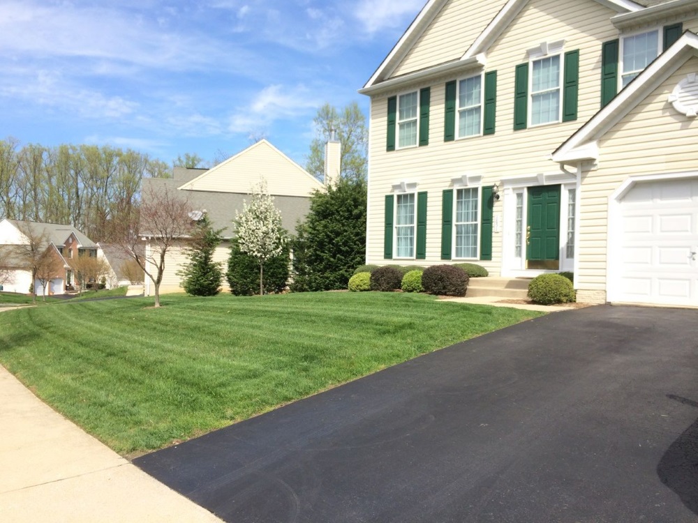 Mowing Services and Yard Cleanup